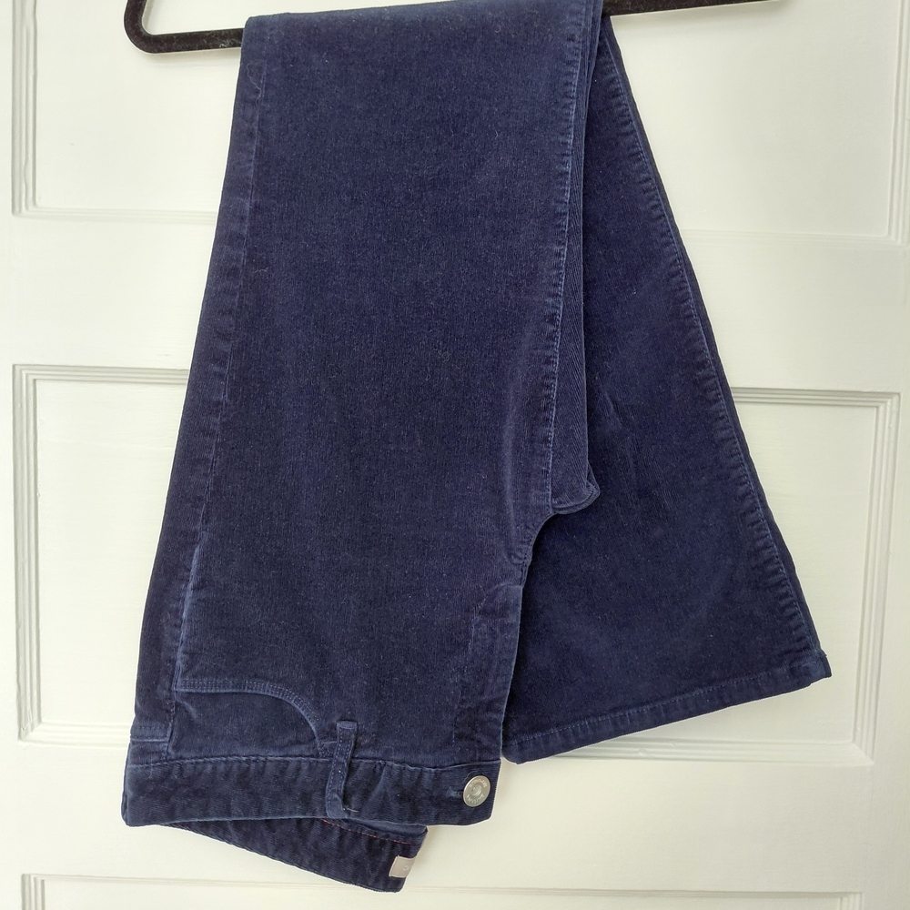 Banana Republic Navy Corduroy Trousers